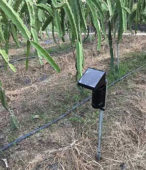 Photoelectric beam sensors protect farm
